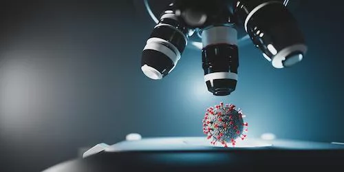 Forschung an Covid-19-Viren unter dem Mikroskop