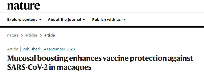 A breakthrough study reveals a potential solution to the Omicron variant challenge. Current SARS-CoV-2 vaccines provide limited defense against Omicron subvariants, emphasizing the need for enhanced mucosal immunity.