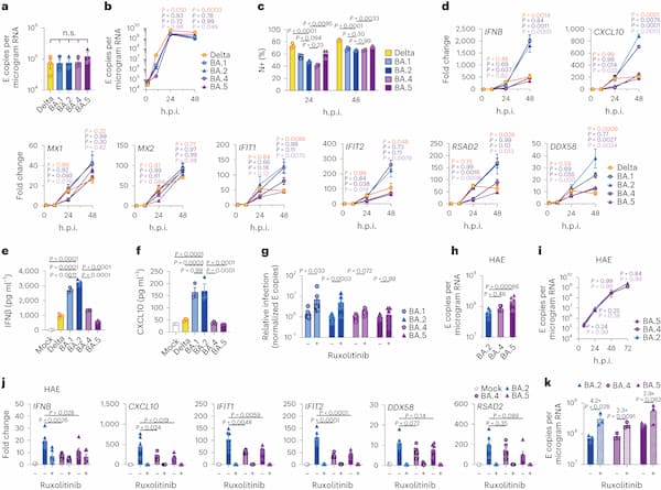 Convergent Evolution of Enhanced Innate Immune Antagonists in Omicron Subvariants Drives Improved Immune Evasion