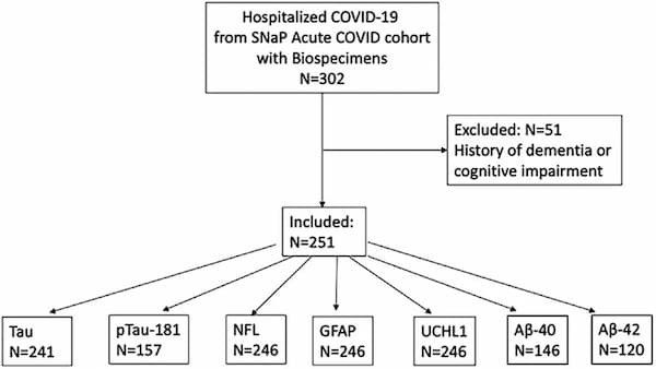 Blood Biomarkers Reveal Neurological Complications in COVID-19 Patients: Implications for Cognitive Dysfunction and Mortality Risk