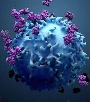 MOLECULAR MIMICRY“ - das Talent von #SARSCoV2, Immunproteine zu imitieren und sich im Verborgenen zu halten