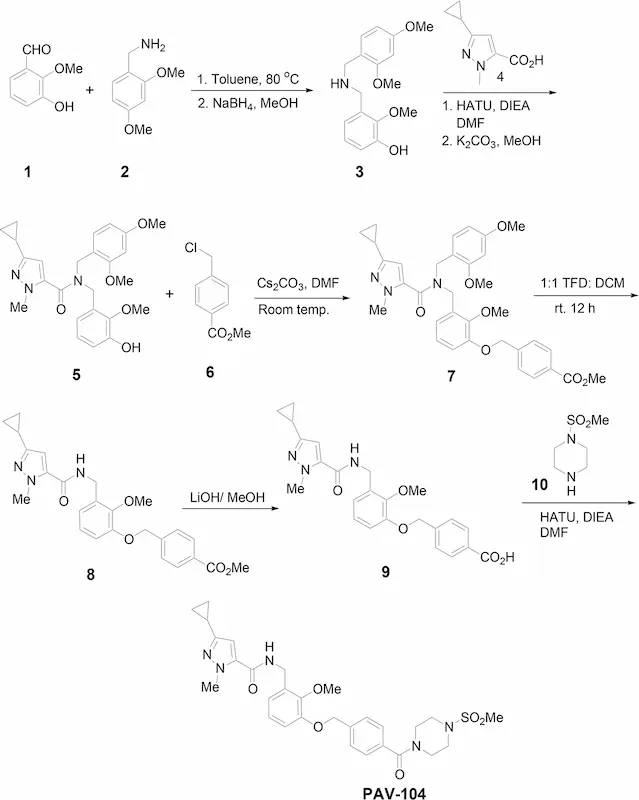 Eine Illustration zeigt das Molekül PAV-104, das als vielversprechendes Medikament zur Bekämpfung von SARS-CoV-2 dargestellt wird.
