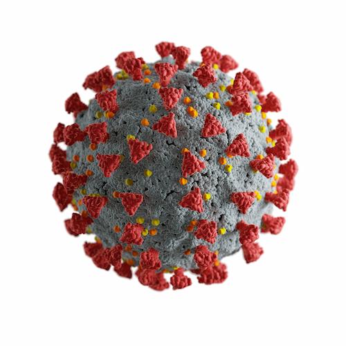 Corona virus